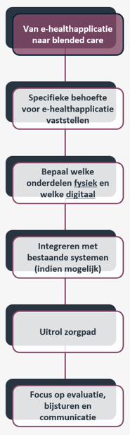 Stapsgewijze uitleg_Blog - van e-healthapplicatie naar blended care_202410292